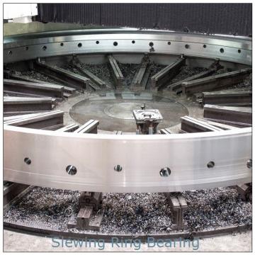 High precision SE  slewing drive with hydraulic motor application